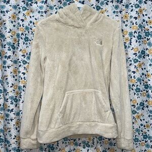 The North Face Brand Hoodie